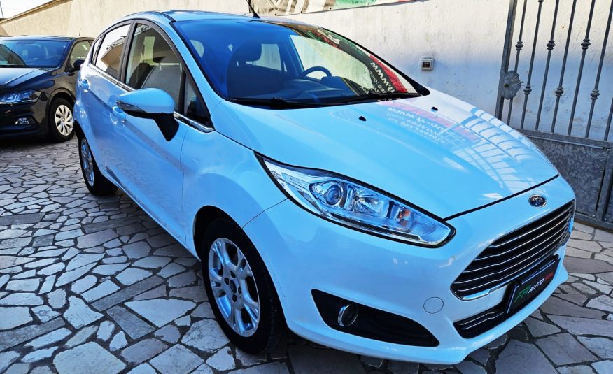 FORD Fiesta 1.4 5p. Bz.-GPL Black & White Ed.